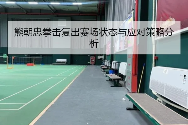 熊朝忠拳击复出赛场状态与应对策略分析